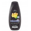 SCHAUMA Men Anti-Dandruff Intense šampon 250 ml