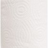 Papírové ručníky v rolích MINI, 2 vrst., 100% celulóza, 50 m, 12 rolí