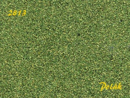 pol2813