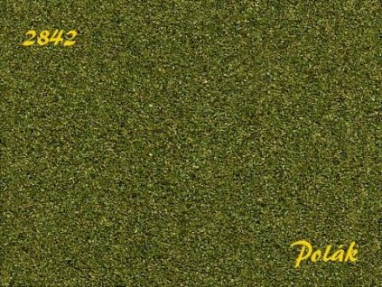 POLÁK 2842