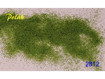 POLÁK 2812