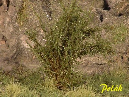 POLÁK 9205