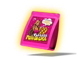 pundovka vizualizace 01