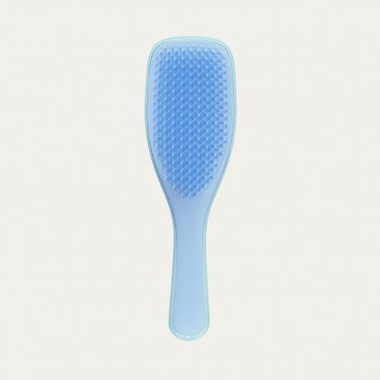 tangle teezer wet detangler denim blue