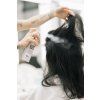 Authentic Beauty Concept Dry Shampoo 100 ml