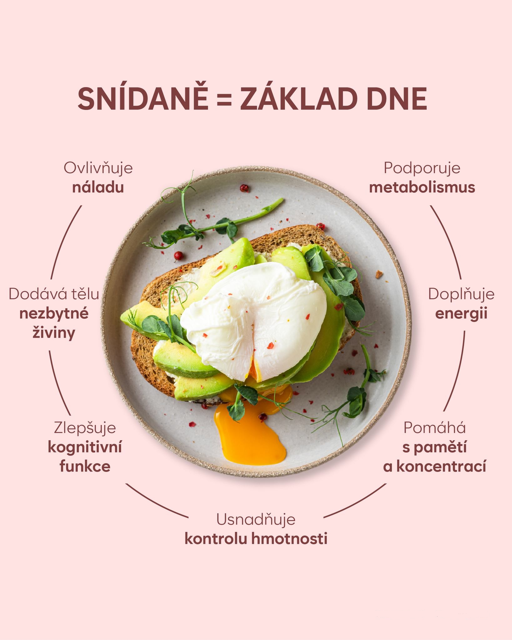 Snidane_zaklad_dne