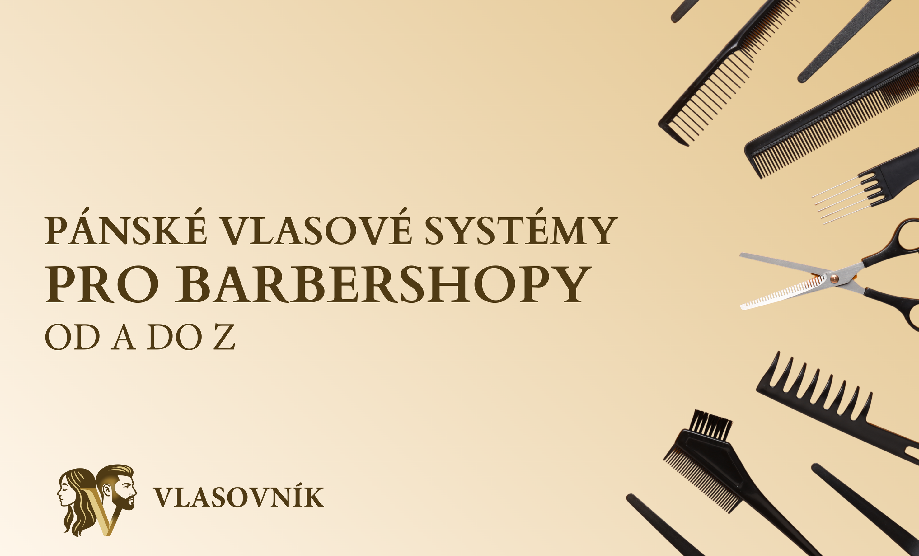 Pánské vlasové systémy