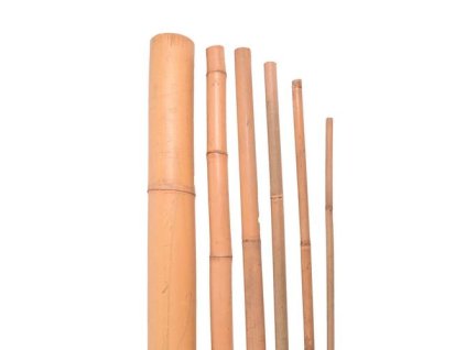 Bambusová tyč 90 cm, 8 - 10 mm
