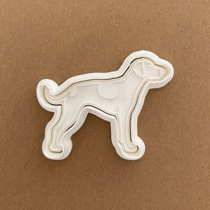 EvropskySanovyPes 01