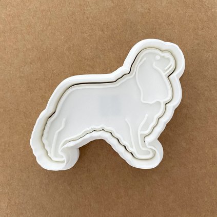 KavalirKingCharles 01