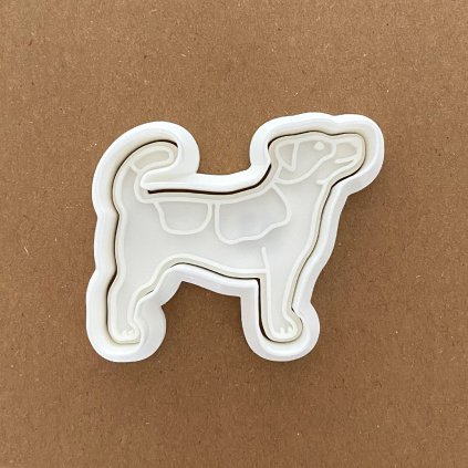 JackRussel In2020 01