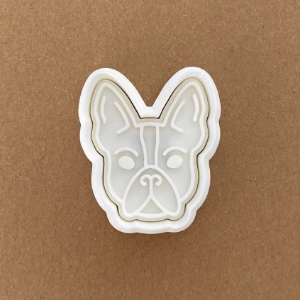 BostonskyTerier Hlava 01