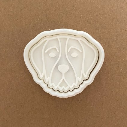 CeskyFousek Hlava 01