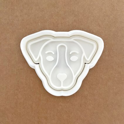 Jack Russell - hlava