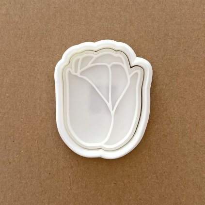 Tulipan 01