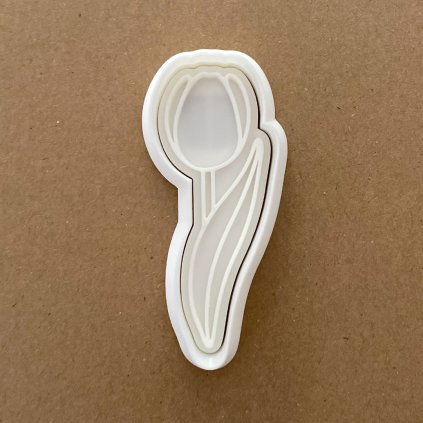 TulipanJednolisty 01