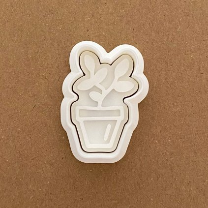 KvetinaVKvetinaci 01