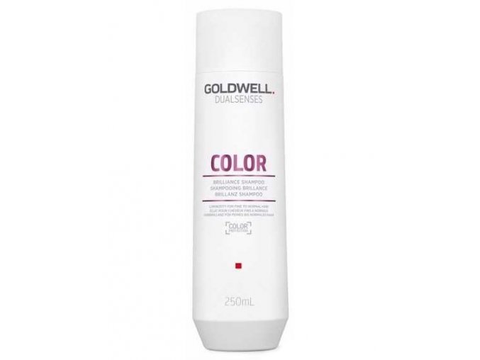 GOLDWELL Dualsenses Color Shampoo 250ml - šampon pro barvené a tónované vlasy