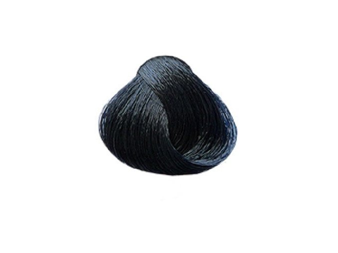 SUBRINA Colour Barva na vlasy 100ml - 2-2 modro černá
