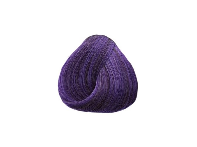 BLACK Glam Colors Permanentní barva na vlasy 100ml - Passion Violet C7
