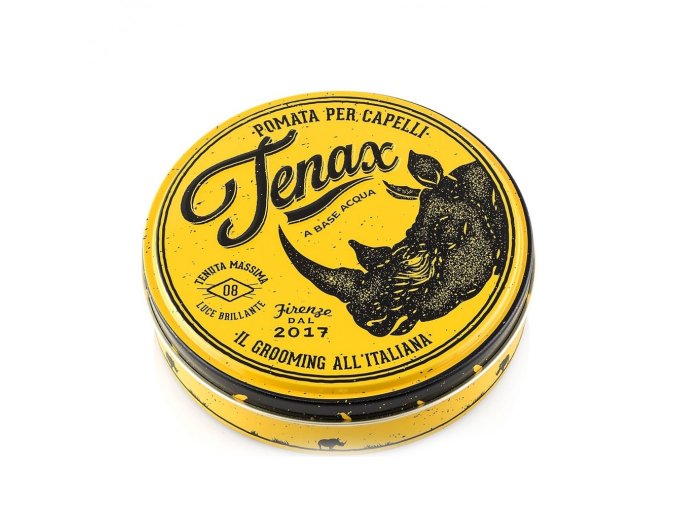 Silná pomáda na vlasy pro muže TENAX Strong shine pomade 125 ml