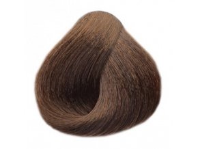 BLACK Sintesis Barva na vlasy 100ml - teplá světle hnědá 5-06