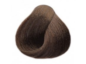 BLACK Sintesis Barva na vlasy 100ml - teplý tmavý blond 6-06