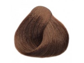 BLACK Sintesis Barva na vlasy 100ml - teplý střední blond 7-06