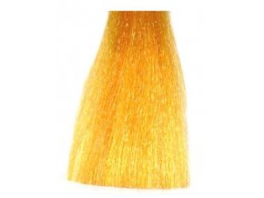 BES Hi-Fi Hair Color Domíchávací barva na vlasy Toners Dorato - zlatá 03