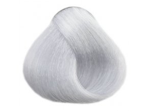 LOVIEN ESSENTIAL LOVIN Color barva na vlasy 100ml - Silver Grey 12.1