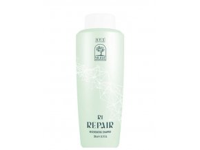 Bes Silkat Repair R1 Regenerative Shampoo 300ml