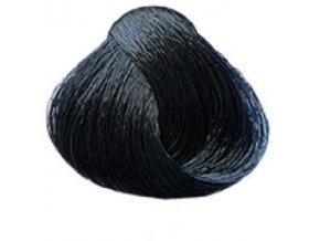 SUBRINA Colour Barva na vlasy 100ml - 2-2 modro černá