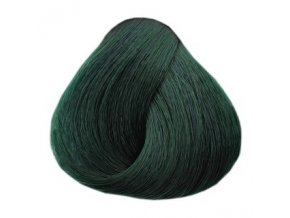 BLACK Glam Colors Permanentní barva na vlasy 100ml - Ivy Green C6