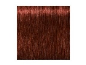 SCHWARZKOPF Igora Royal Absolutes 60ml - tmavá blond přírodní červená 6-80