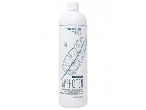 BES Colour Lock Amphoten Shampoo 1000ml