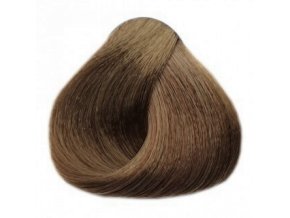 BLACK Sintesis Barva na vlasy 100ml - intenzivně popelavá tmavá blond 6-12