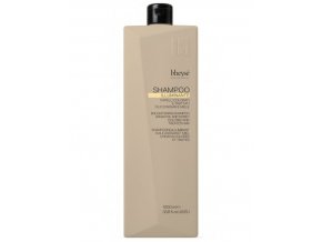 BHEYSÉ Professional Illuminante Shampoo 1000ml - šampon s arganem pro barvené vlasy