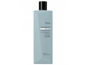 BHEYSÉ Professional Balance Shampoo 300ml - šampon na mastné vlasy s Tea Tree olejem