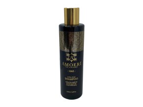 Pánský keratinový šampon na vlasy AMOERI Active clean shampoo 250 ml