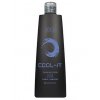 BES Color Reflection Cool-It Shampoo 300ml -  stříbrný šampon na melírované a odbarvené vlasy