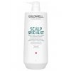 GOLDWELL Dualsenses Deep Cleansing Shampoo 1000ml - šampon na mastné vlasy