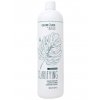 BES Colour Lock Clarifying Shampoo pH 5,5 - šampon před barvením vlasů 1000ml