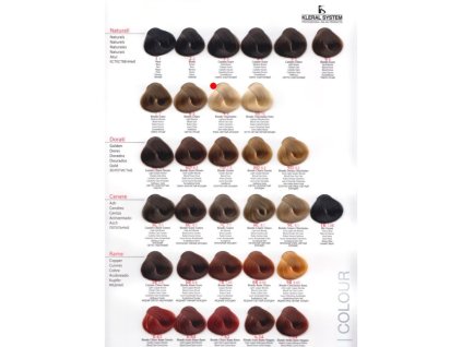 kleral barva na vlasy 9 svetla blond