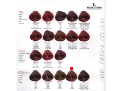 kleral barva na vlasy bronzova