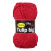 Tulip big
