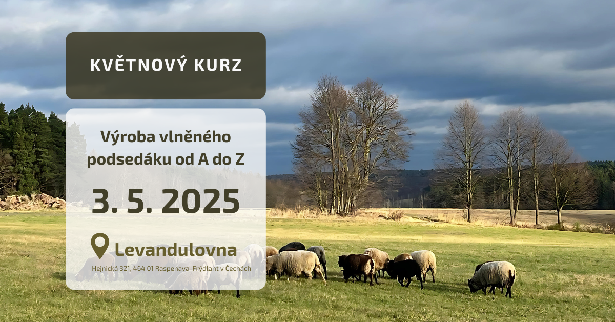 Kurz