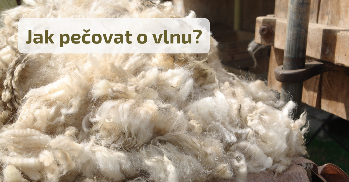 Jak pečovat o vlnu