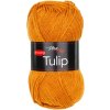 TULIP41050