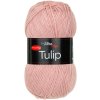 TULIP41066