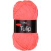 TULIP41083